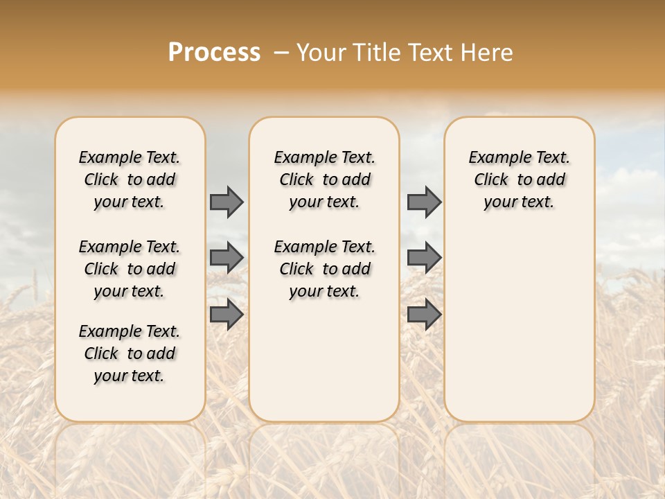 Farm Summer Barn PowerPoint Template