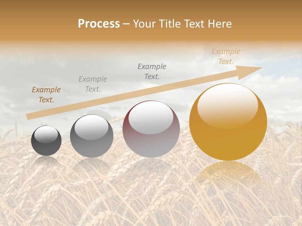 Farm Summer Barn PowerPoint Template