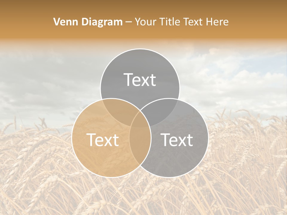 Farm Summer Barn PowerPoint Template