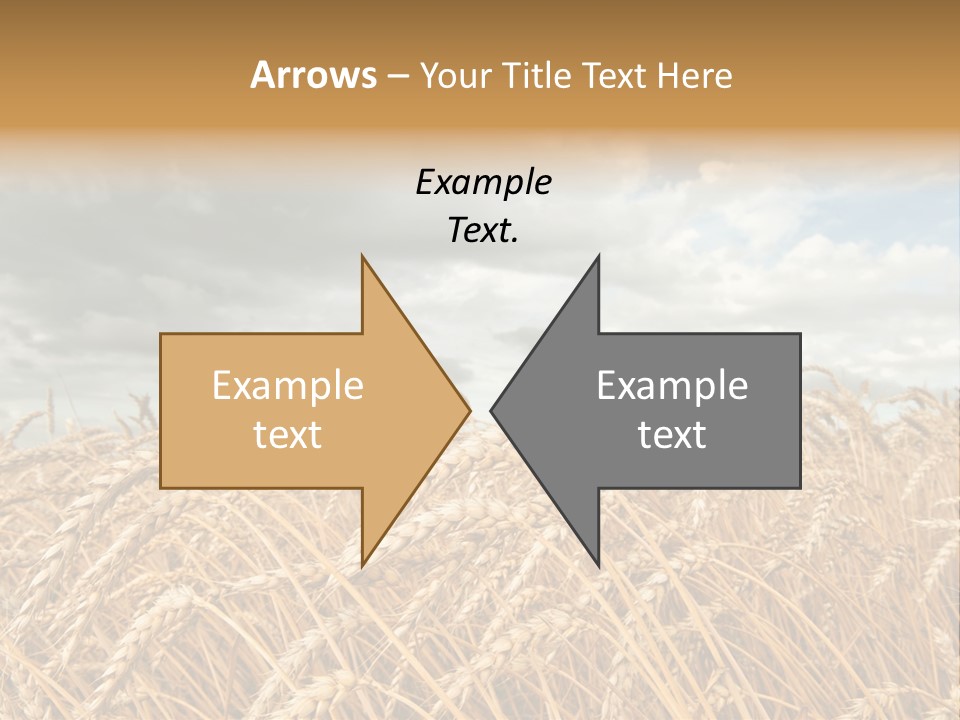 Farm Summer Barn PowerPoint Template