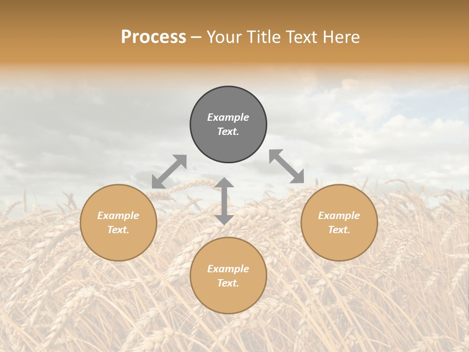 Farm Summer Barn PowerPoint Template