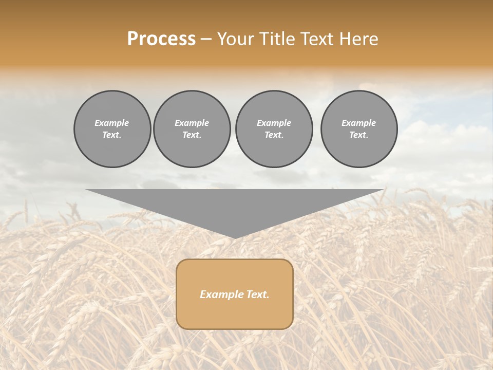 Farm Summer Barn PowerPoint Template
