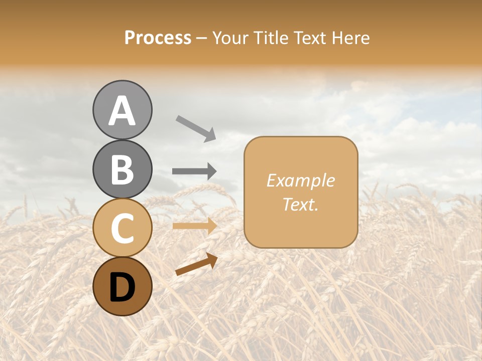 Farm Summer Barn PowerPoint Template