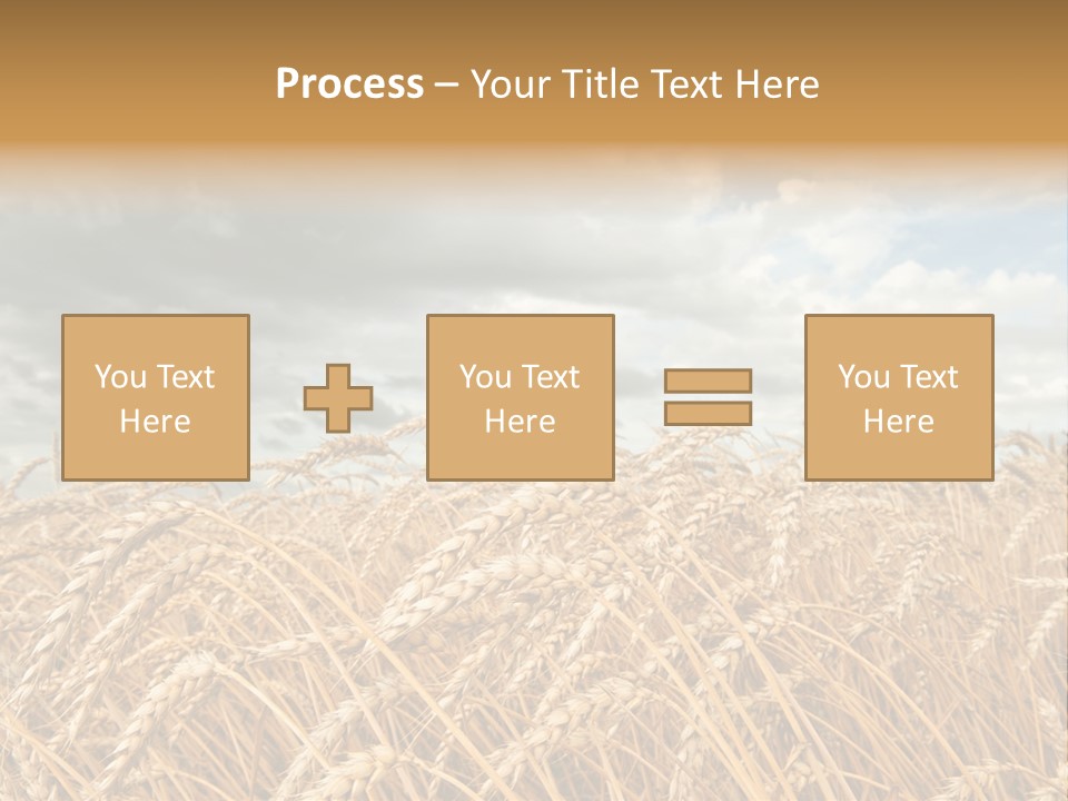 Farm Summer Barn PowerPoint Template