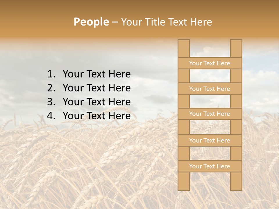 Farm Summer Barn PowerPoint Template