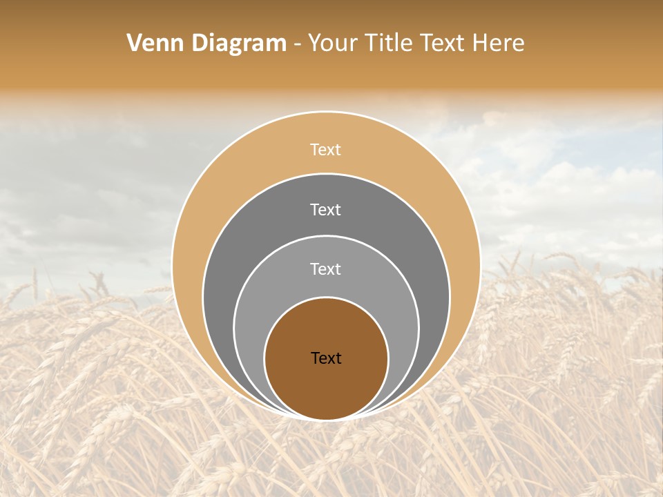 Farm Summer Barn PowerPoint Template