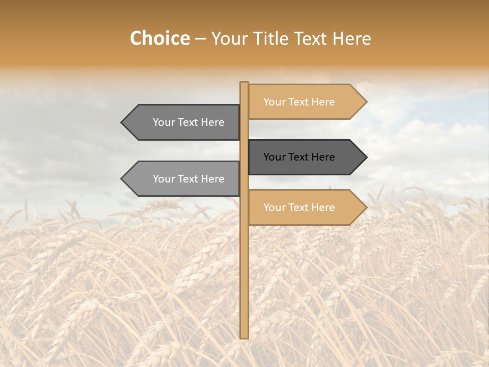 Farm Summer Barn PowerPoint Template