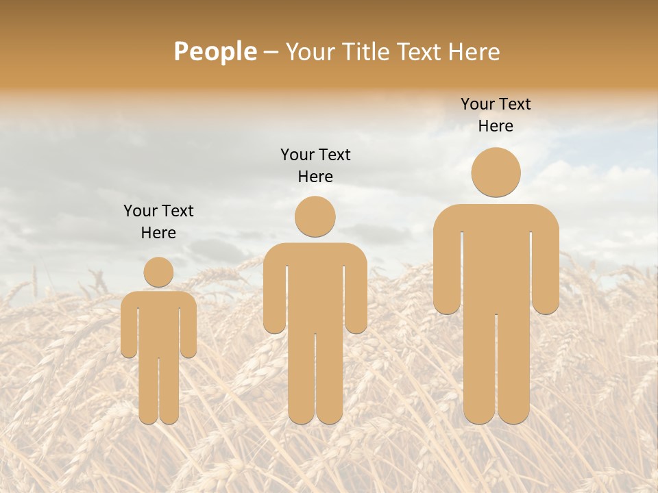 Farm Summer Barn PowerPoint Template