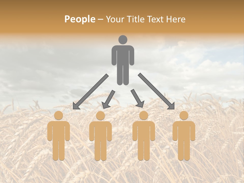 Farm Summer Barn PowerPoint Template