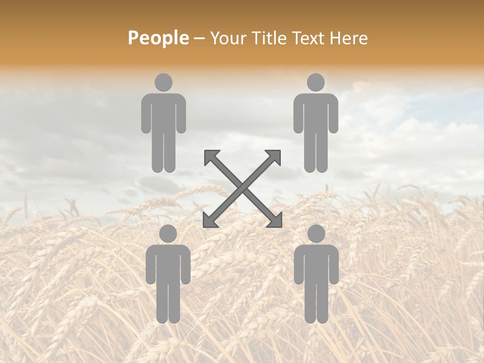 Farm Summer Barn PowerPoint Template