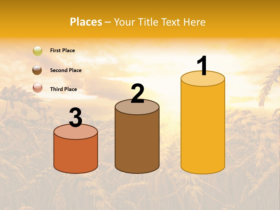 Field Light Bright PowerPoint Template