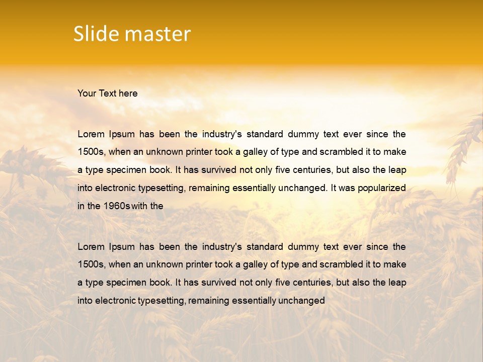 Field Light Bright PowerPoint Template