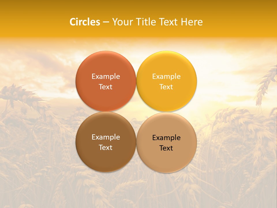 Field Light Bright PowerPoint Template