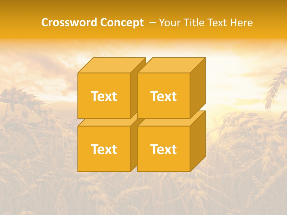Field Light Bright PowerPoint Template