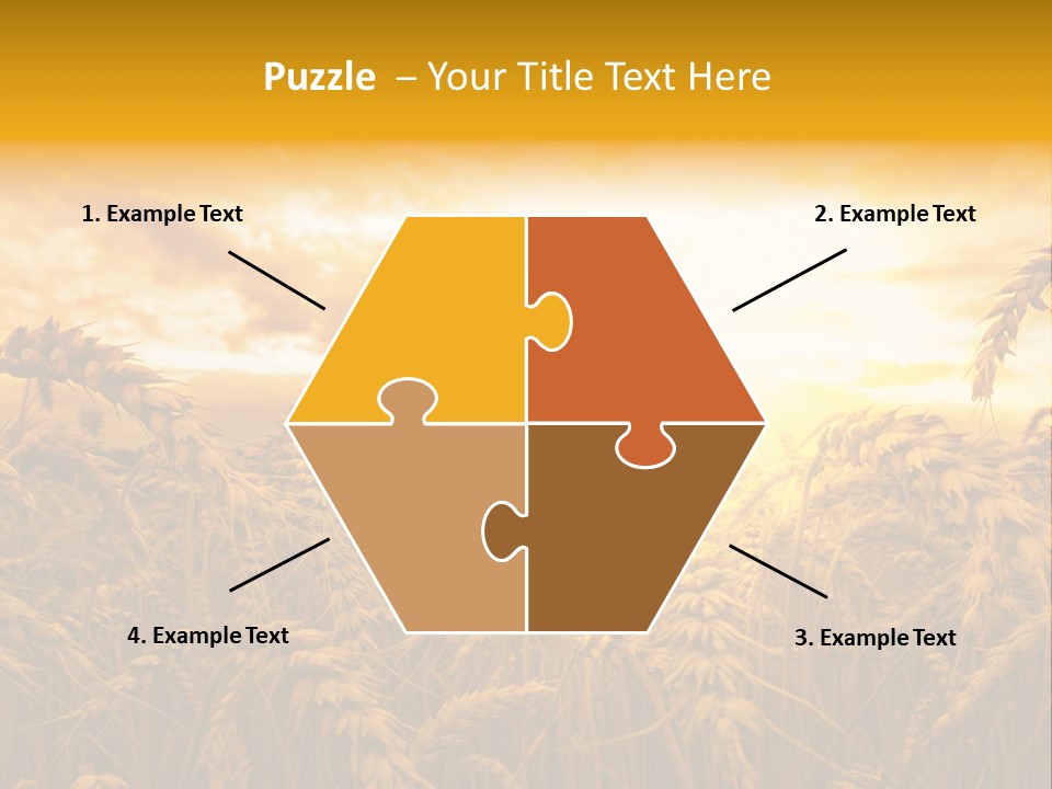 Field Light Bright PowerPoint Template