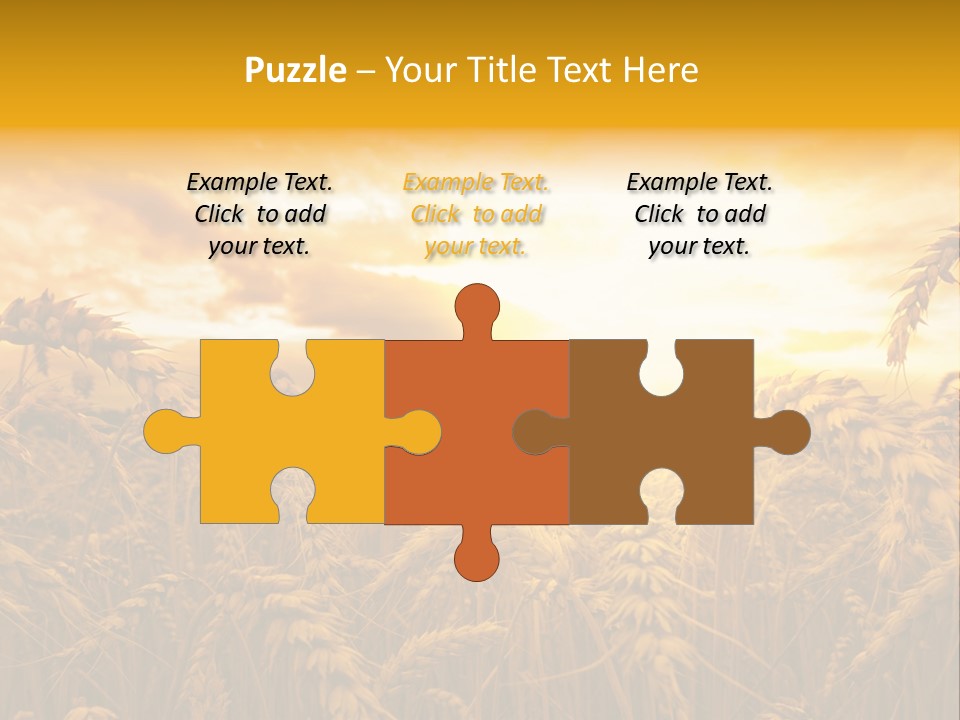 Field Light Bright PowerPoint Template