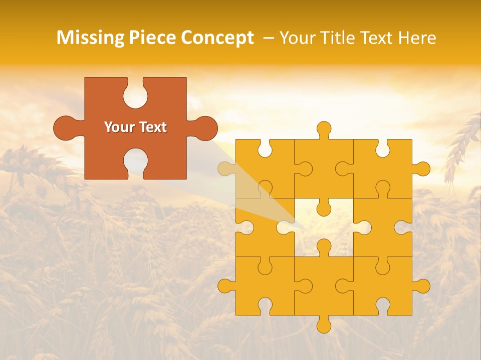 Field Light Bright PowerPoint Template