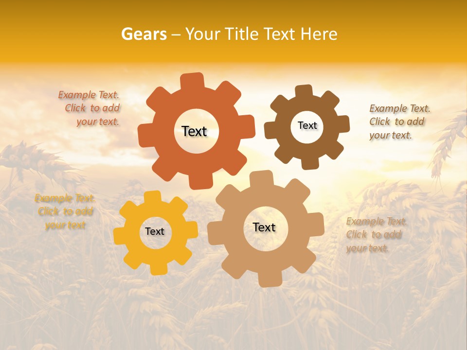 Field Light Bright PowerPoint Template