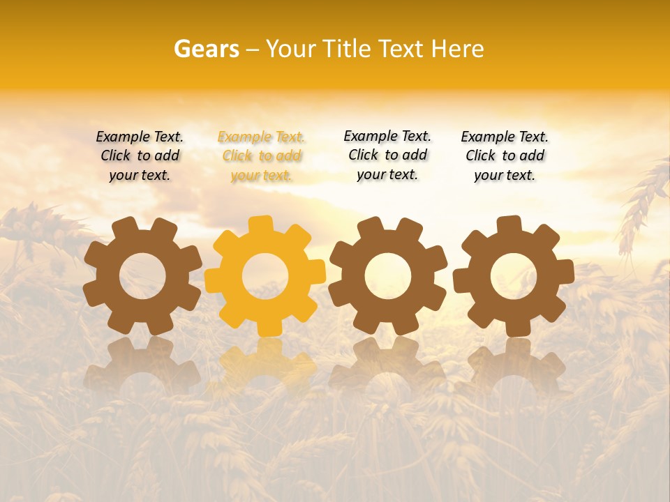 Field Light Bright PowerPoint Template