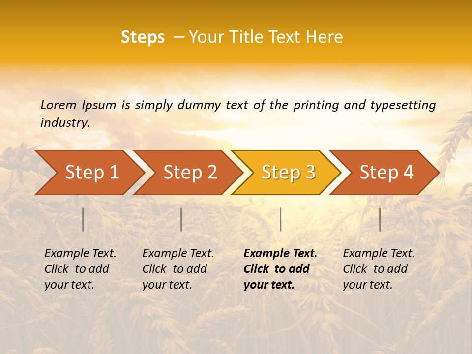 Field Light Bright PowerPoint Template