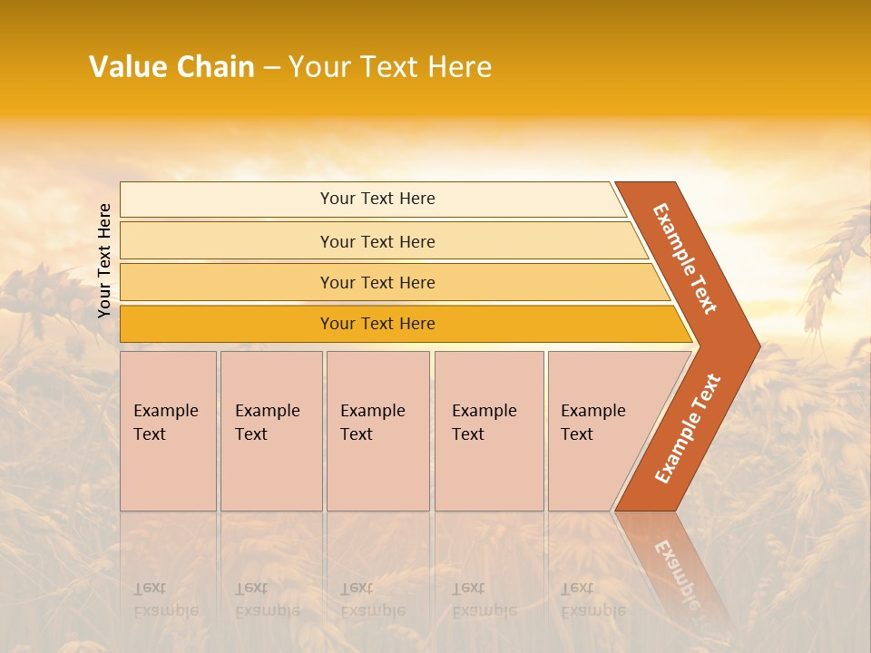 Field Light Bright PowerPoint Template