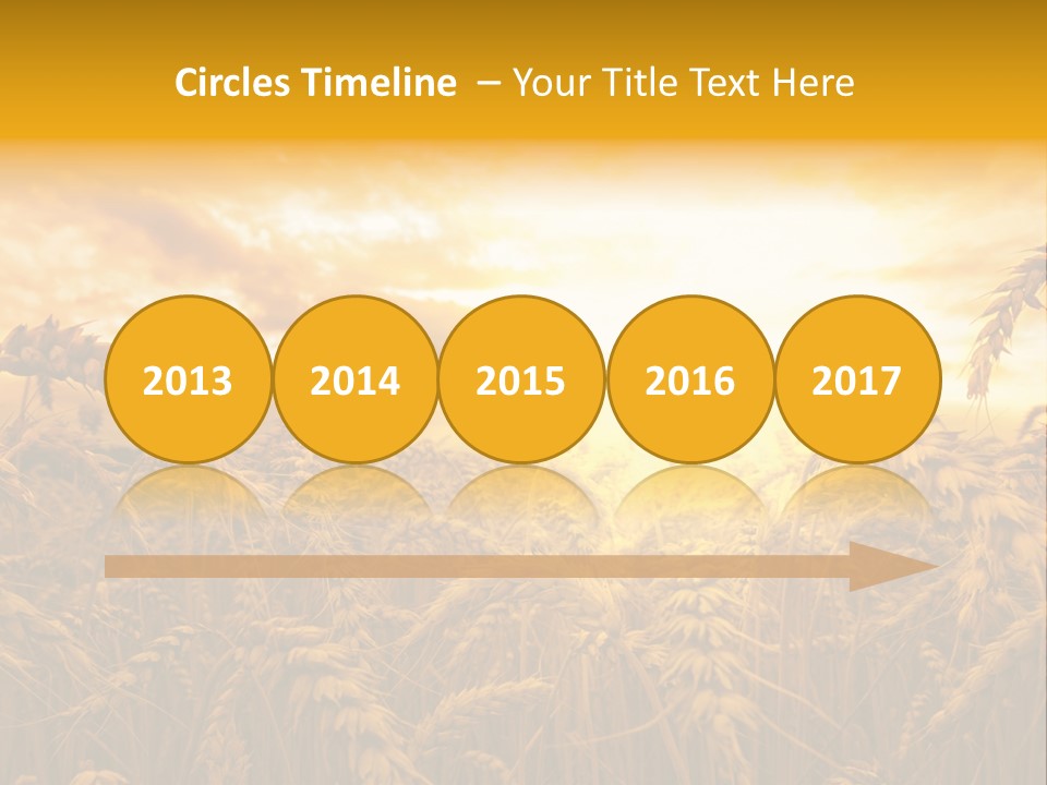 Field Light Bright PowerPoint Template