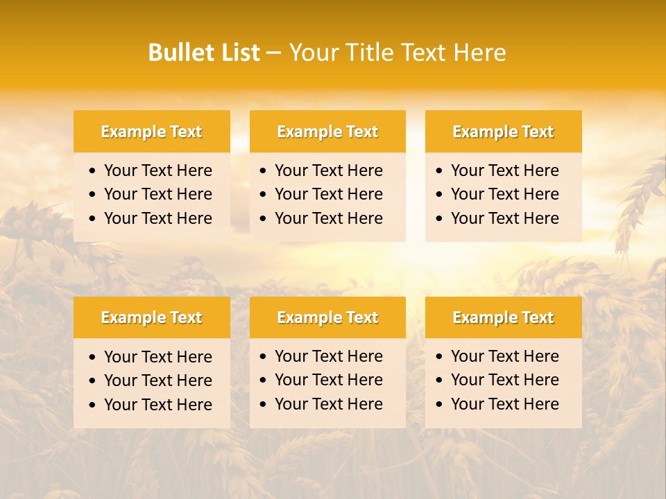Field Light Bright PowerPoint Template