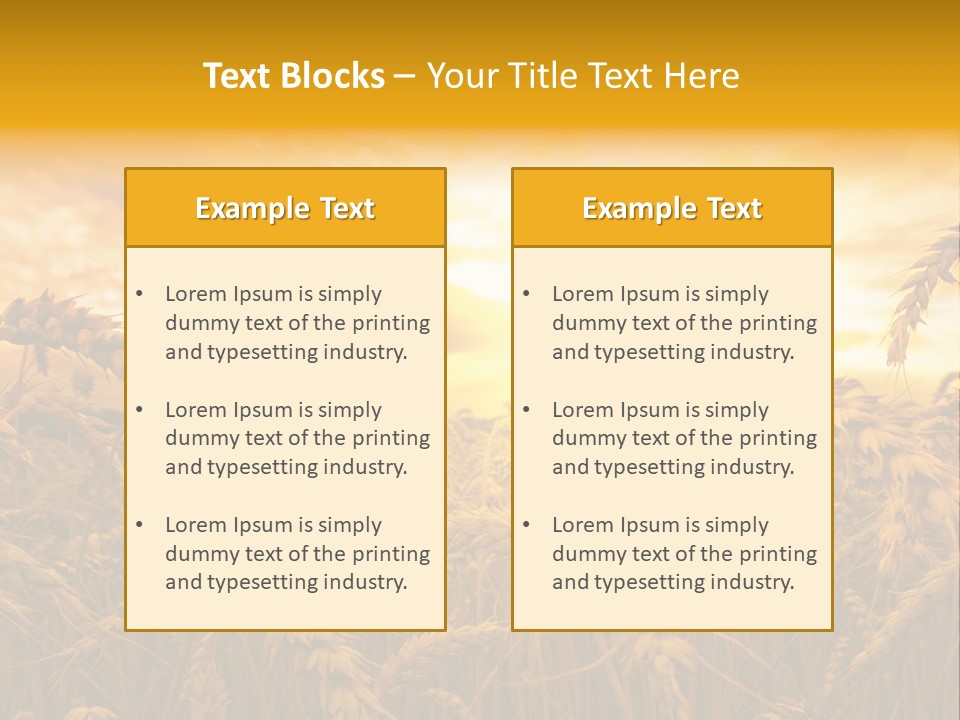 Field Light Bright PowerPoint Template