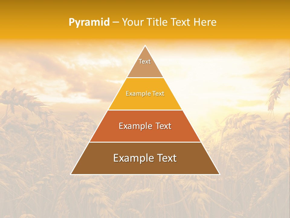 Field Light Bright PowerPoint Template