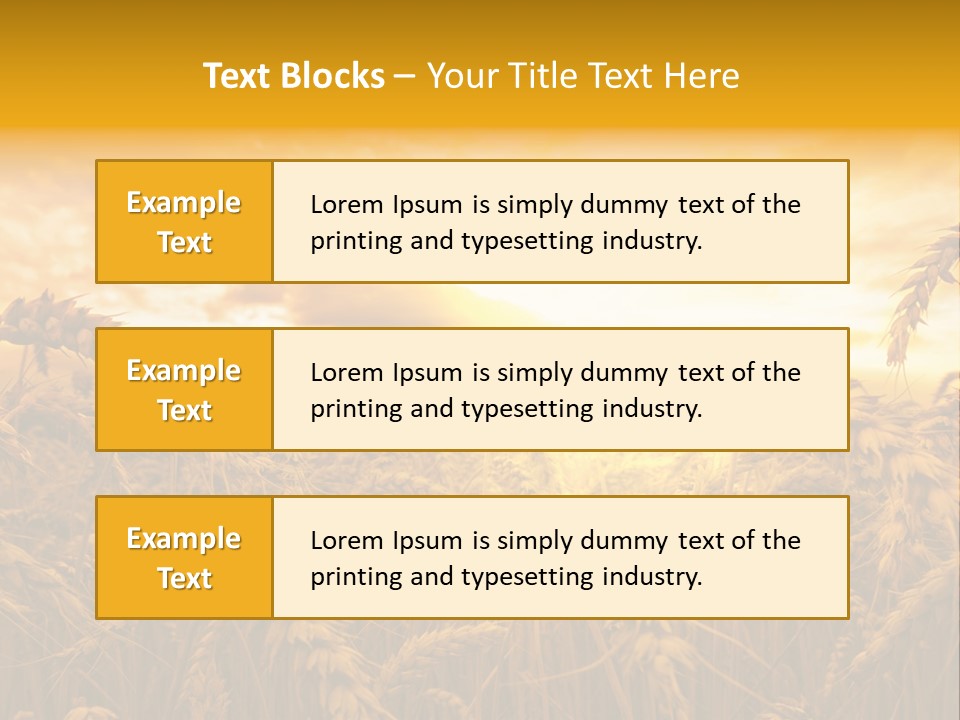 Field Light Bright PowerPoint Template