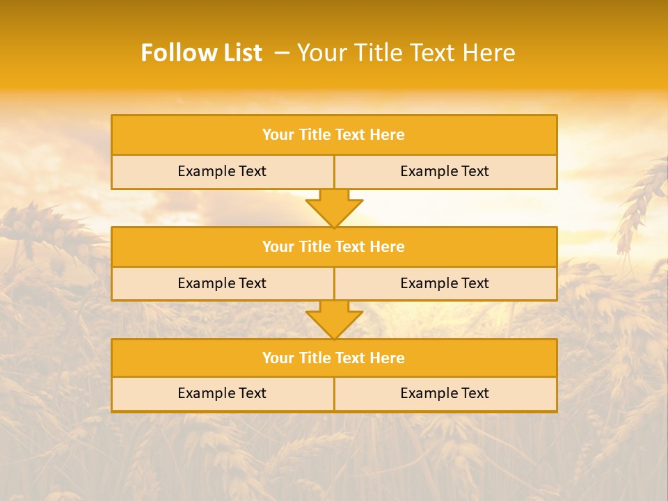 Field Light Bright PowerPoint Template