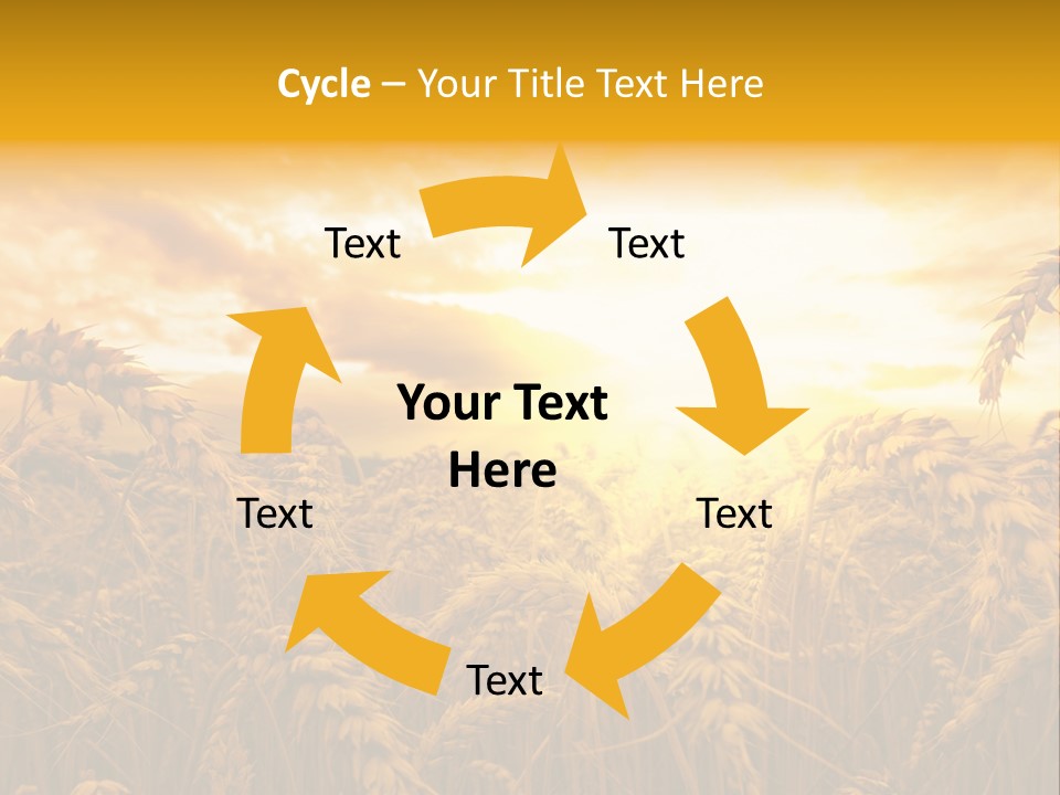 Field Light Bright PowerPoint Template