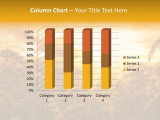 Field Light Bright PowerPoint Template