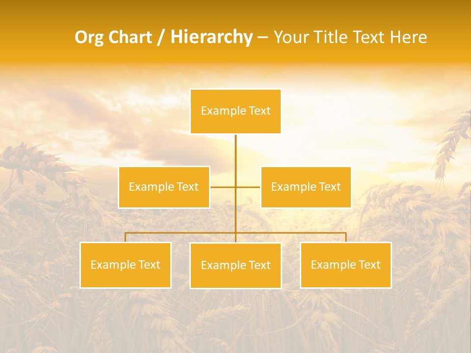 Field Light Bright PowerPoint Template