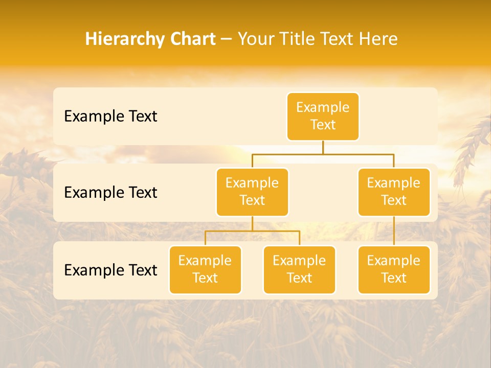 Field Light Bright PowerPoint Template
