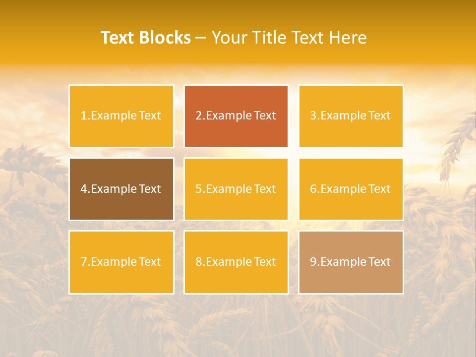 Field Light Bright PowerPoint Template