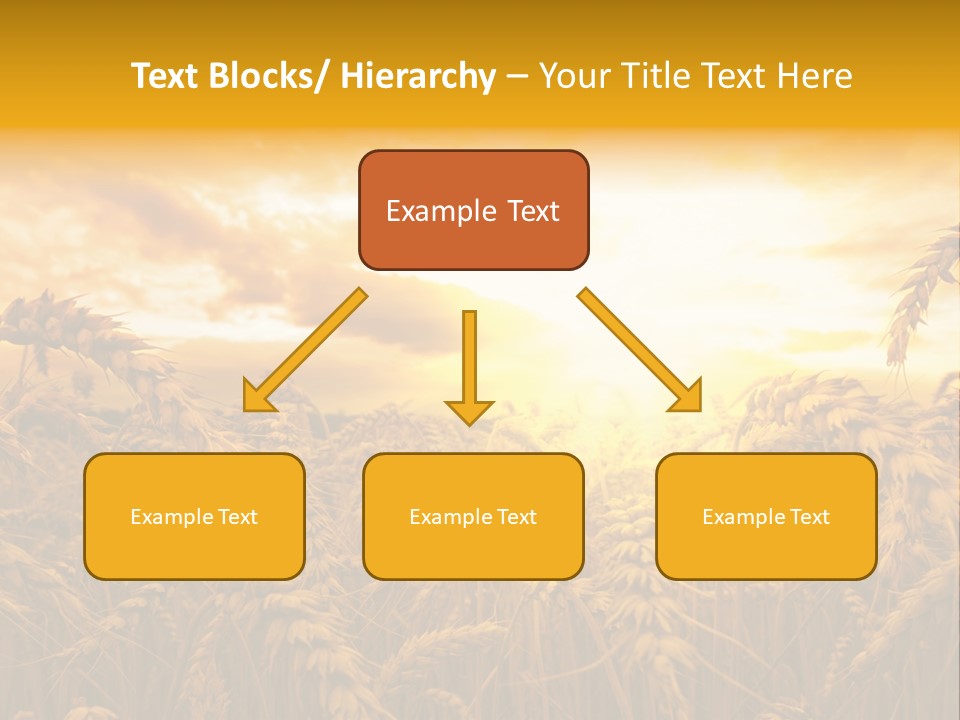 Field Light Bright PowerPoint Template