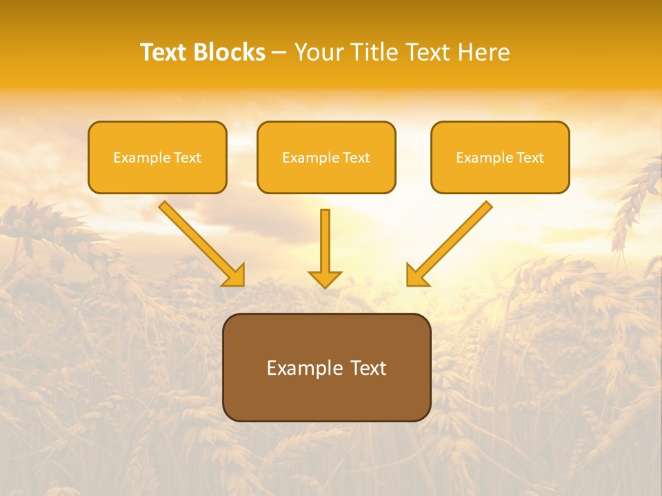 Field Light Bright PowerPoint Template