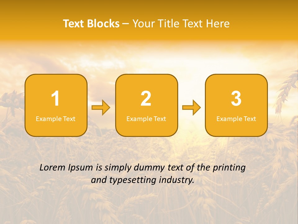 Field Light Bright PowerPoint Template
