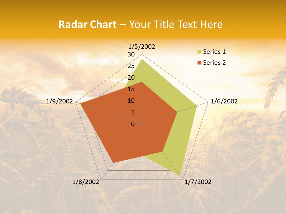 Field Light Bright PowerPoint Template