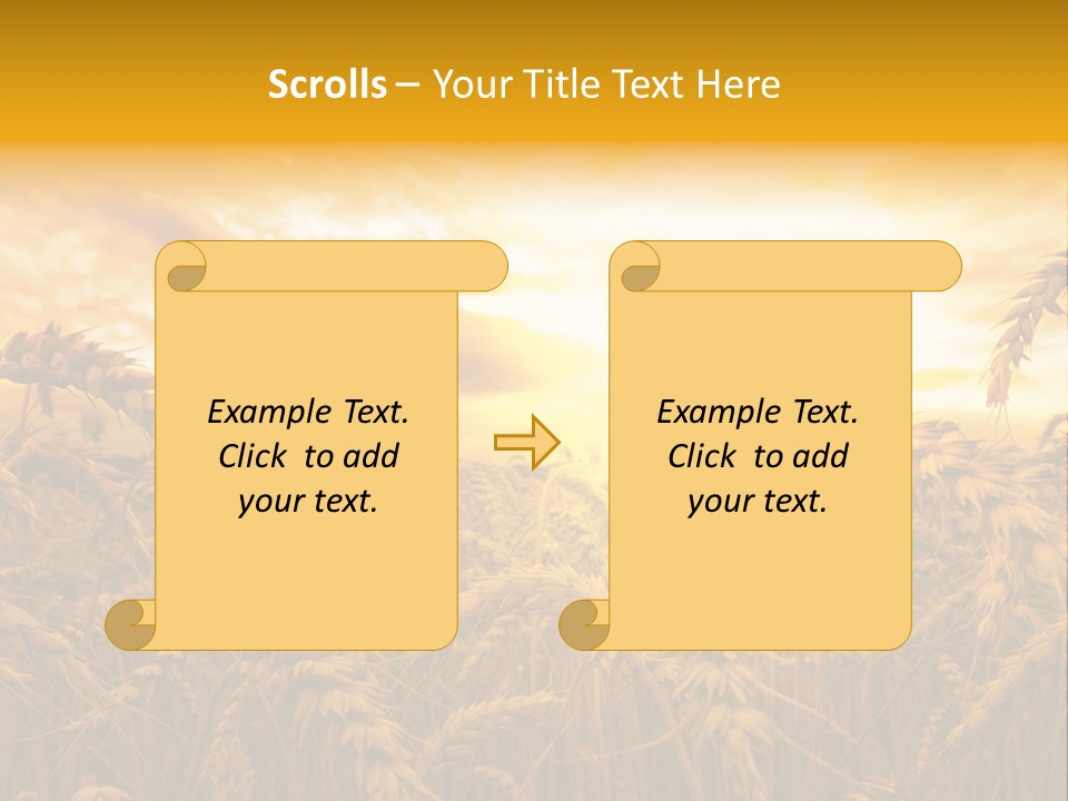 Field Light Bright PowerPoint Template