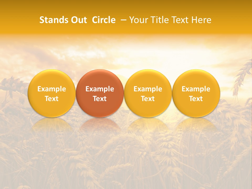 Field Light Bright PowerPoint Template