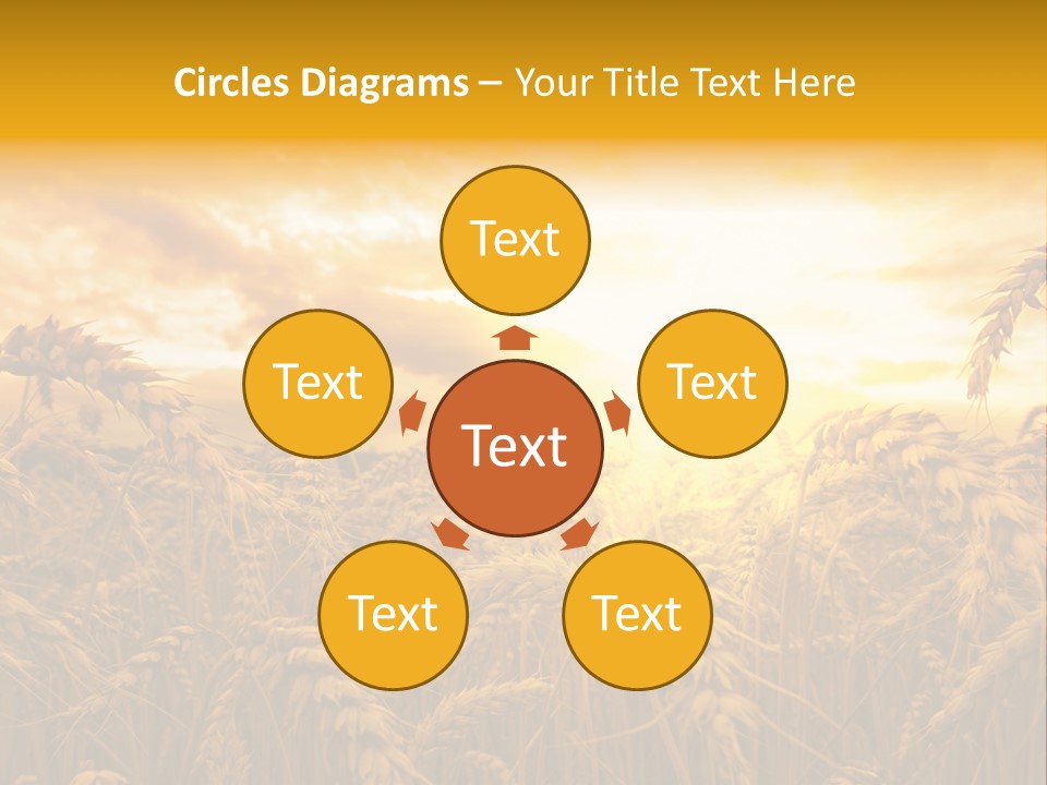 Field Light Bright PowerPoint Template