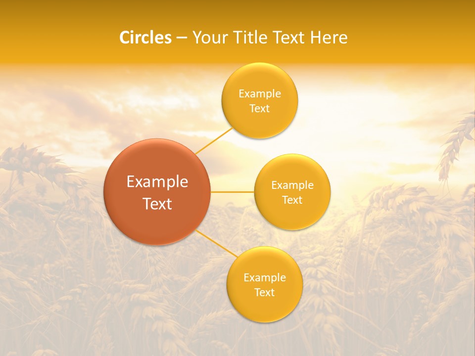 Field Light Bright PowerPoint Template