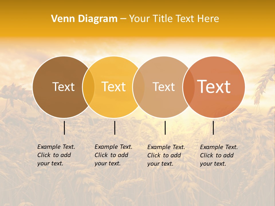 Field Light Bright PowerPoint Template