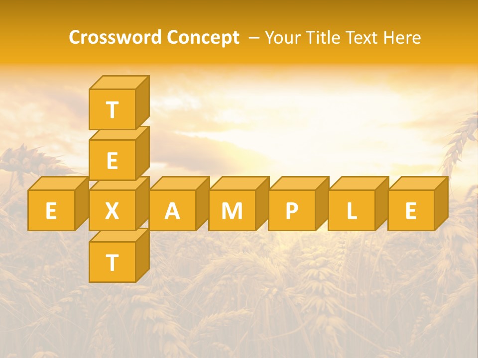 Field Light Bright PowerPoint Template