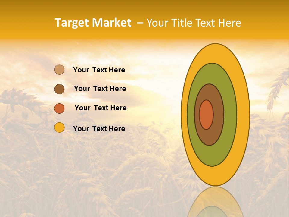 Field Light Bright PowerPoint Template