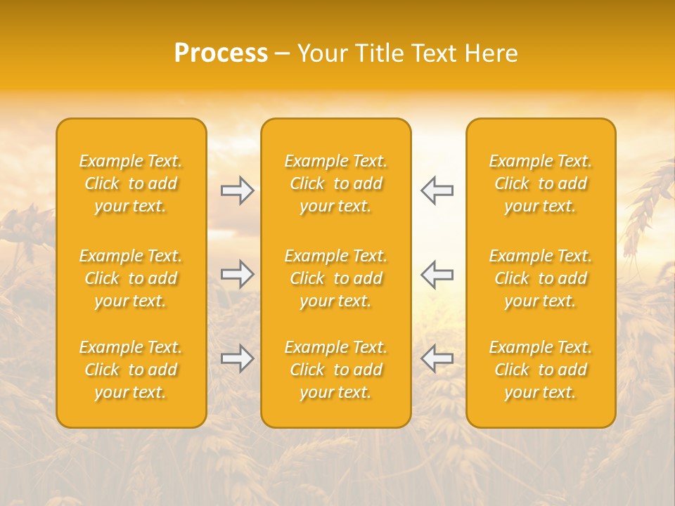 Field Light Bright PowerPoint Template