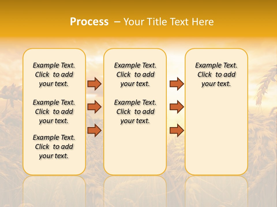 Field Light Bright PowerPoint Template