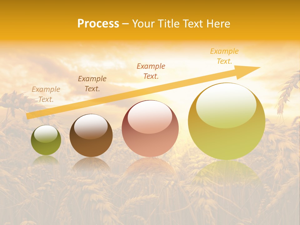 Field Light Bright PowerPoint Template